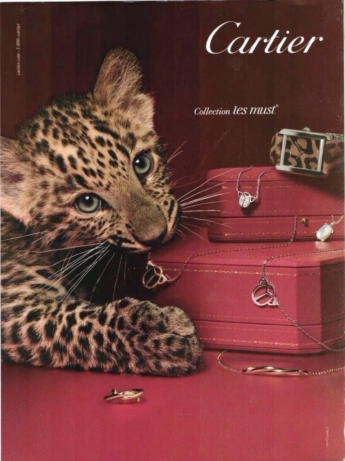 Archival Cartier advertisement with a leopard and jewellery